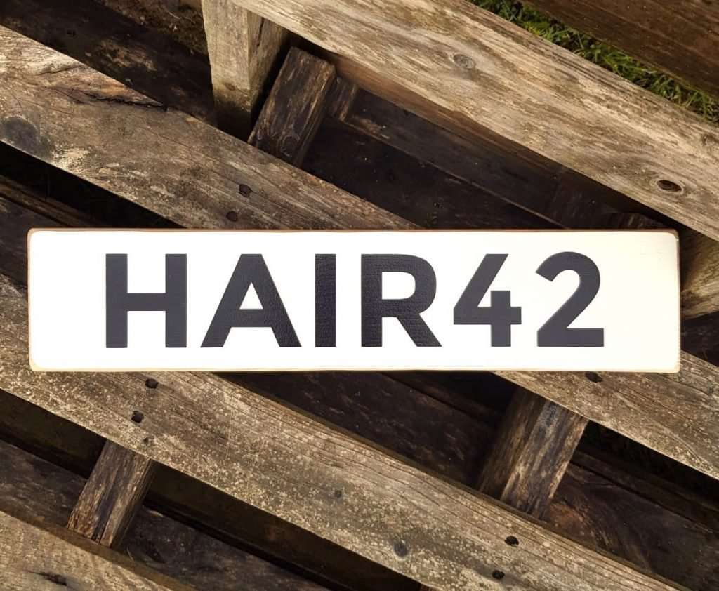 Hair 42